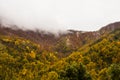 Autumn rainy day in La Garrotxa, Spain Royalty Free Stock Photo