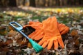 Autumn rake work fall foliage cleaning tool gardening seasonal leaves Royalty Free Stock Photo