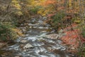 Autumn Rapids Little River Royalty Free Stock Photo