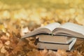 autumn reading, books on the background of yellow leaves, open book, selective focus Royalty Free Stock Photo