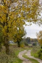 Autumn recreational walk and bike path through turbulent fall trees Royalty Free Stock Photo