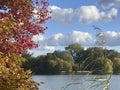 Autumn red colored tree on the lake shore, Kiessee Goettingen, Germany