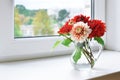 Autumn dahlias bouquet Royalty Free Stock Photo