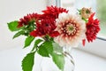 Autumn dahlias bouquet Royalty Free Stock Photo