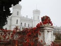 Autumn red grape leaves on terrace of old white manor Sharovka Ukraine villa castle Royalty Free Stock Photo