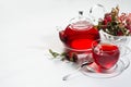 Autumn red herbal tea in transparent teapot, cup with dry leaves, rose hip, hawthorn berries in sunlight on white wood table, copy Royalty Free Stock Photo