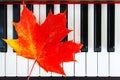 Autumn red leaf on piano keys Royalty Free Stock Photo