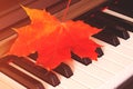 Autumn red leaf on a piano keys Royalty Free Stock Photo