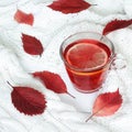 Autumn, fall leaves and cup of rose hip and hibiscus tea with lemon