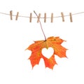 Autumn red maple leaf heart Love concept