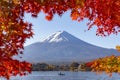 Fuji Mountain in Autumn Red Maple Leaves Frame with Fisherman Boat at Kawaguchiko Lake, Japan Royalty Free Stock Photo