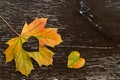 Autumn red and orange leaves with heart. Fall wooden background