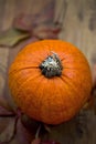 Autumn red quirk pumpkin Royalty Free Stock Photo