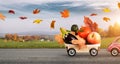 Autumn food delivery Royalty Free Stock Photo