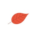 Autumn red tree leaf in flat style isolated on white background. Royalty Free Stock Photo