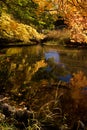 Autumn Reflection