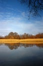 Autumn Reflection Royalty Free Stock Photo