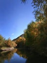 Autumn reflection on the Salt River Royalty Free Stock Photo