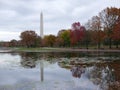 Autumn reflection of trees and Washington monument Royalty Free Stock Photo