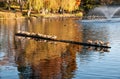 Autumn reflections