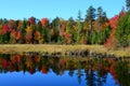 Autumn reflections Landscape Royalty Free Stock Photo