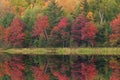Autumn Reflections Doe Lake Royalty Free Stock Photo