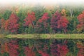 Autumn Reflections Doe Lake in Fog Royalty Free Stock Photo