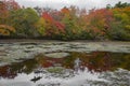 Autumn Reflections of Fall Colors on Pond Royalty Free Stock Photo