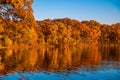 Autumn reflections of foliage in the lake