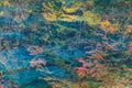 Autumn reflections and lake, Jiuzhaigou National Park, Sichuan Province Royalty Free Stock Photo