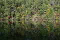 Autumn reflections on Lake Santeetlah, North Carolina. Royalty Free Stock Photo