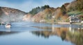 Autumn Reflections in the mist, Lerryn, Cornwall