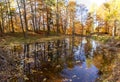 Autumn reflections in the mountains in Trentino