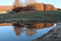 Autumn reflections on the pond Peaceful and bucolic scene Royalty Free Stock Photo