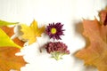 Autumn requisite on the white wooden background. Orange, yellow