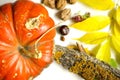 Autumn requisite on the white wooden background. Orange, yellow