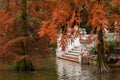 Autumn in the Retiro Park in Madrid Royalty Free Stock Photo