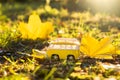 Autumn retro yellow van bus on autumn maple leaf background. Funny retro toy car. Autumn travel and vacation concept