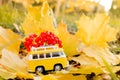 Autumn retro yellow van bus with with rowan berries on autumn maple leaf background. Funny retro toy car