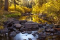 Autumn River Royalty Free Stock Photo