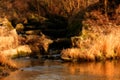 Scenic view of creek in Autumn