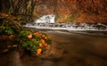 Autumn river Royalty Free Stock Photo