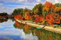Autumn on river Bega Royalty Free Stock Photo