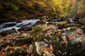 Autumn on the River Braan in Perthshire