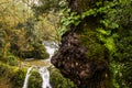 Autumn river in Can Batlle, La Garrotxa, Spain