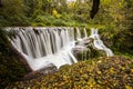 Autumn river in Can Batlle, La Garrotxa, Spain