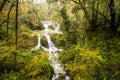 Autumn river in Can Batlle, La Garrotxa, Spain