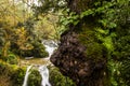 Autumn river in Can Batlle, La Garrotxa, Spain