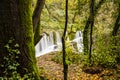 Autumn river in Can Batlle, La Garrotxa, Spain