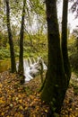 Autumn river in Can Batlle, La Garrotxa, Spain